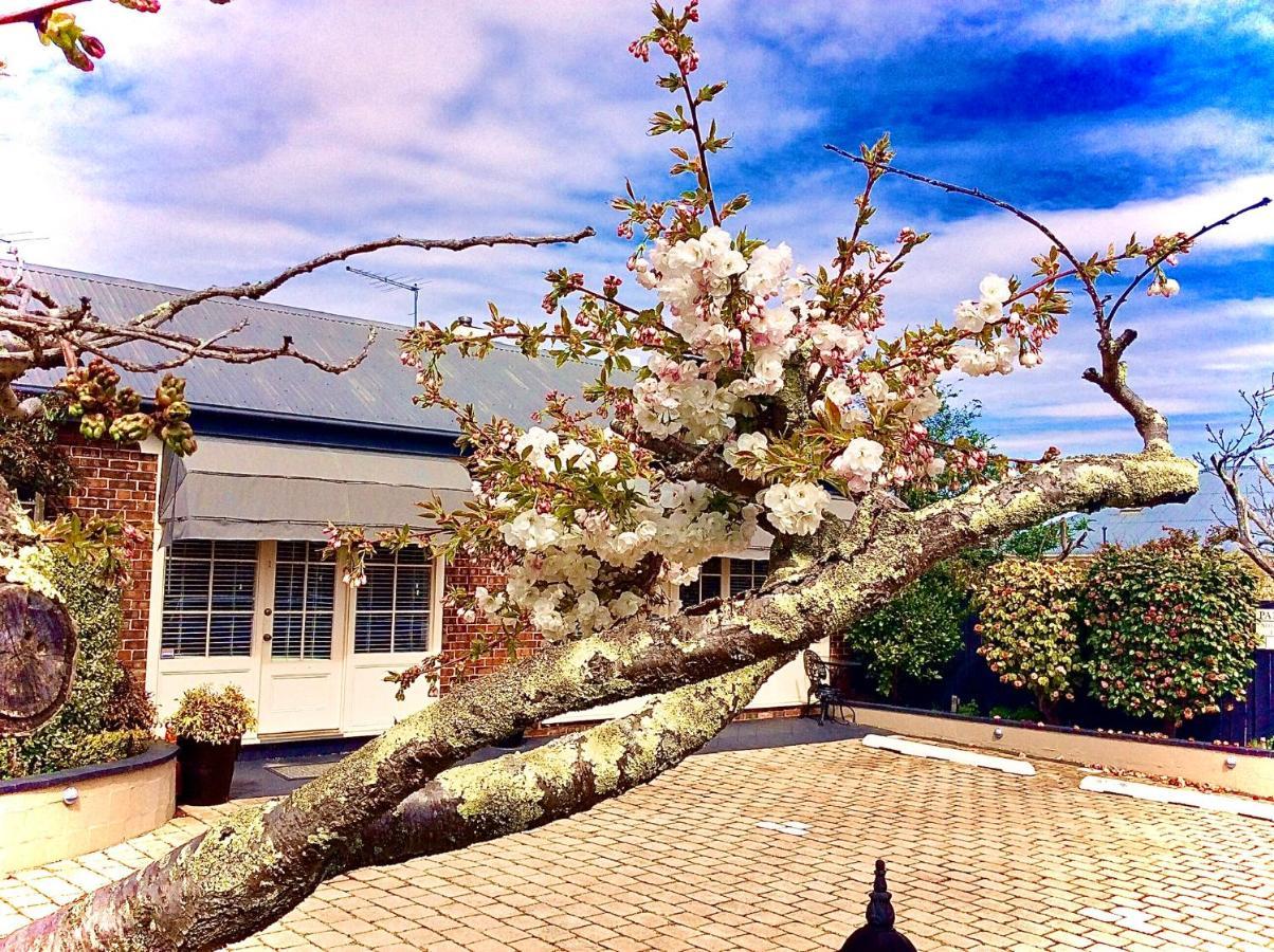 Kurrajong House Bed & Breakfast Launceston Ngoại thất bức ảnh